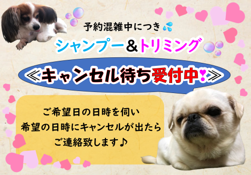 キャンセル待ち受付中.png