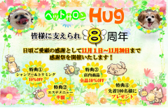 2024年　11月　8周年POP 横バージョン.png