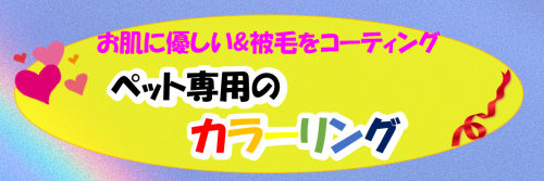 カラーリング　タイトル.png