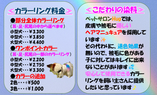 カラーリング　価格.png