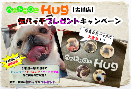 缶バッチプレゼントキャンペーン　３月.png