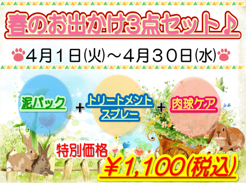 2025年 3月 春のお出かけ３点セット.png