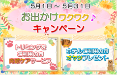 2025年　5月　お出かけワクワクキャンペーン.png