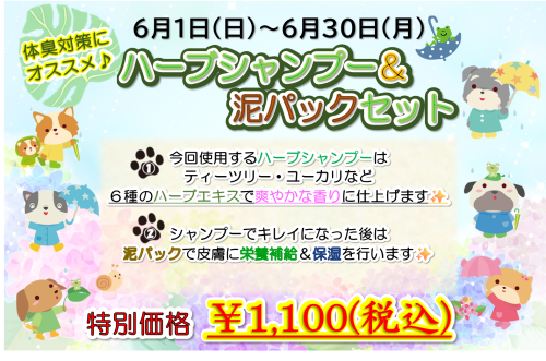 2025年　6月.png
