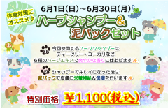 2025年　6月.png