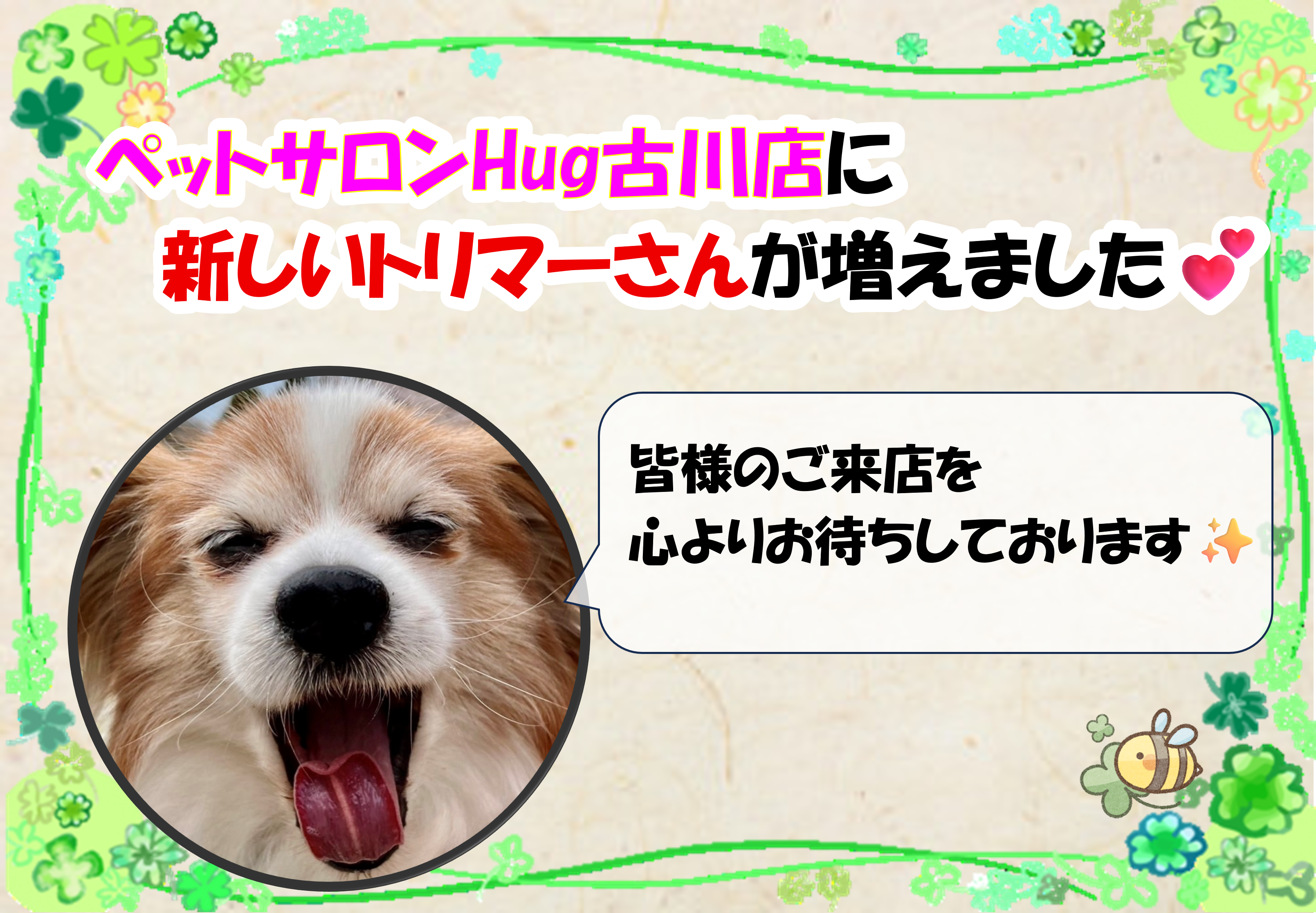 新たにスタッフが増えました✨