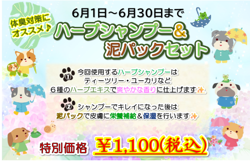 2026年6月エステ.png
