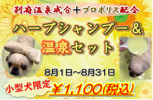 2026年8月 温泉＆ハーブセット.png