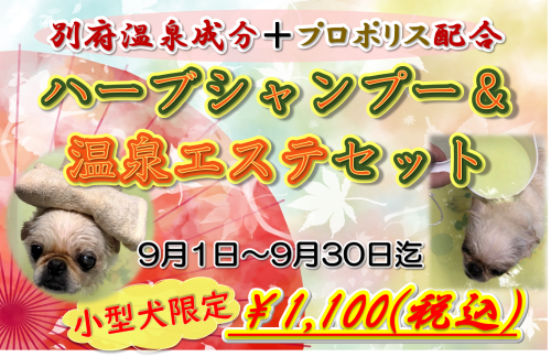 2026年9月 温泉＆ハーブエステ.png