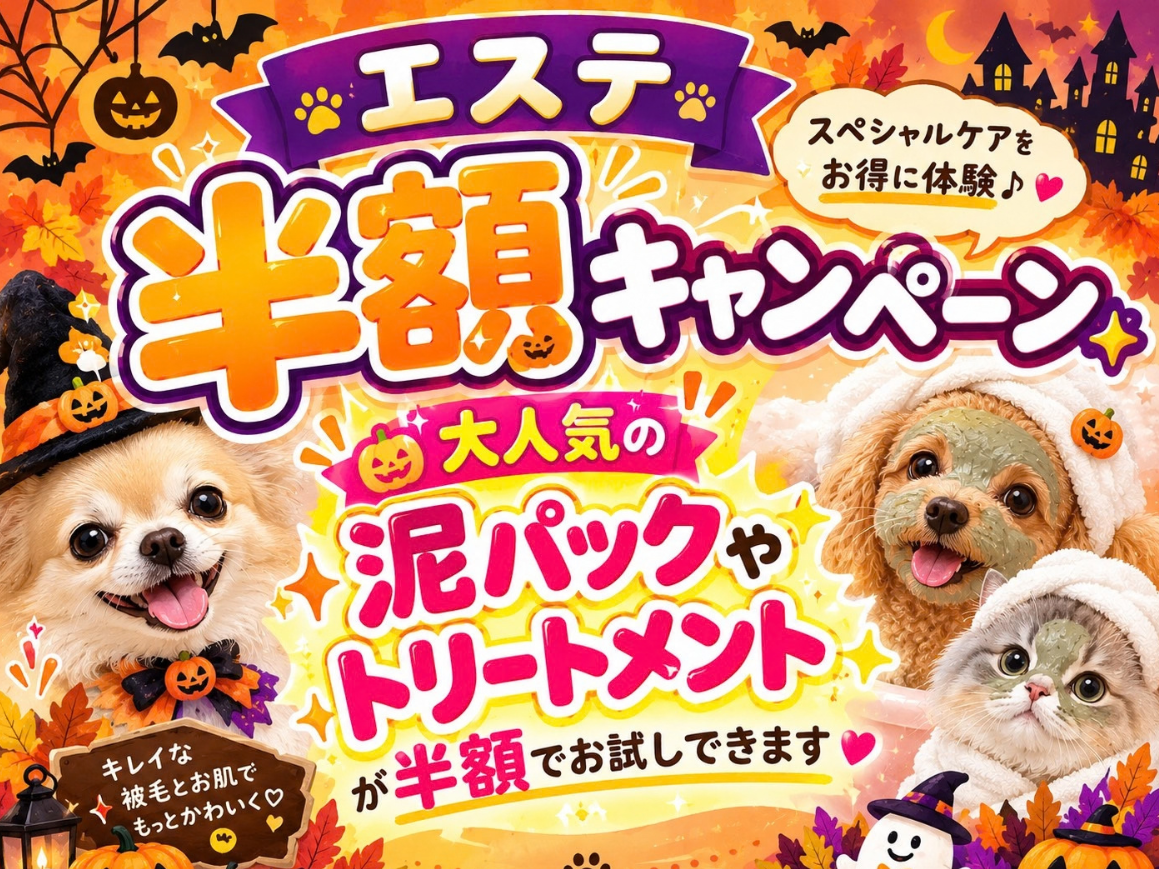 エステ半額キャンペーン✨