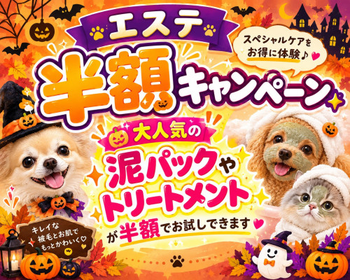 2026年10月エステ半額キャンペーン.jpg