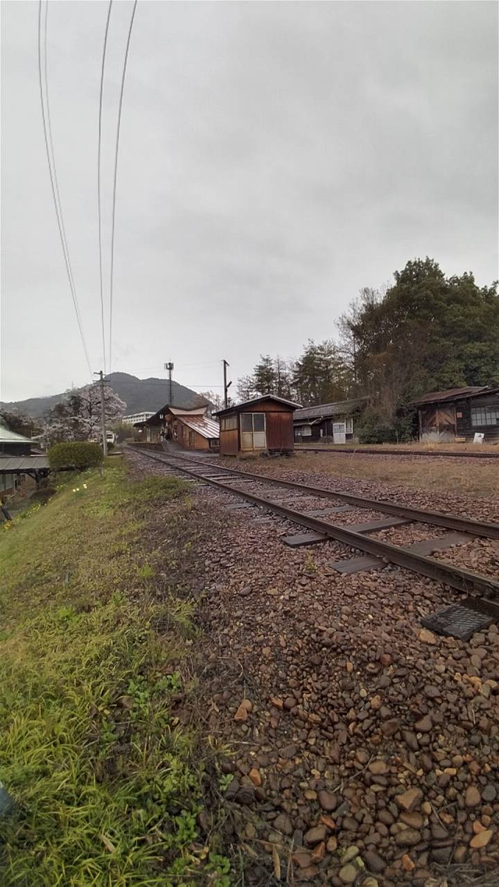50940.jpg