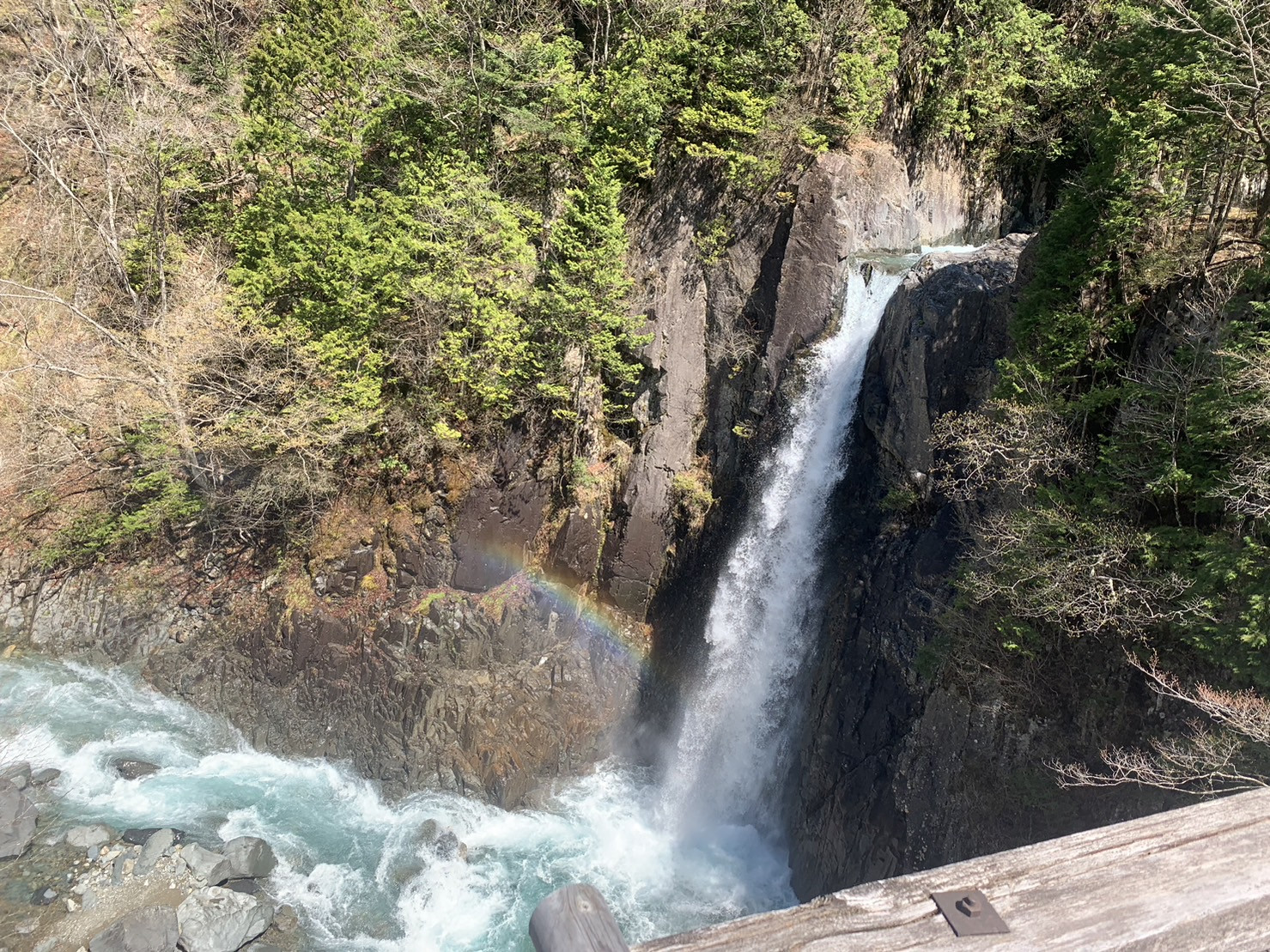 S__47644720.jpg