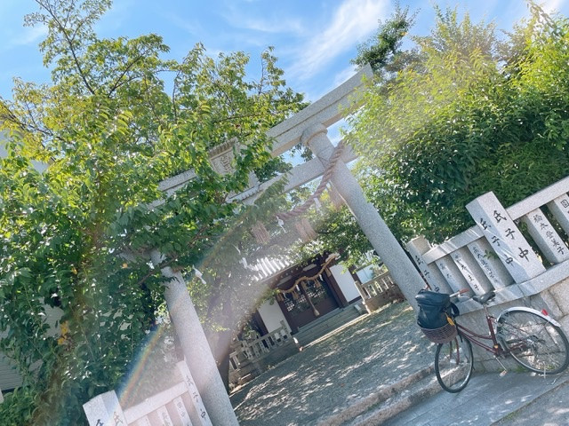 白井神社⛩⛩⛩⛩