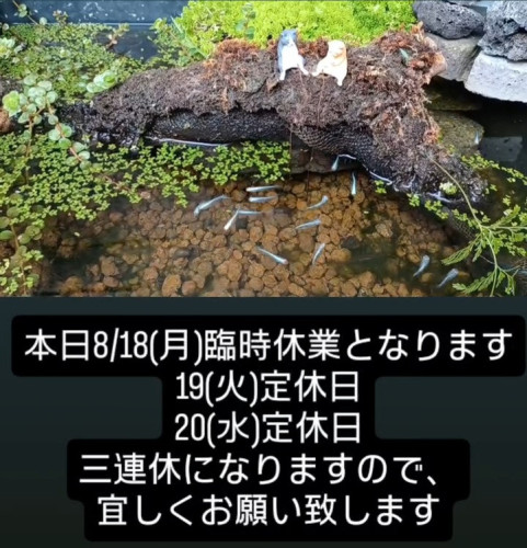 臨時休業のお知らせ