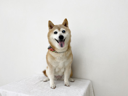E597A3AB-E597-480C-A17D-F601521FC353.jpeg