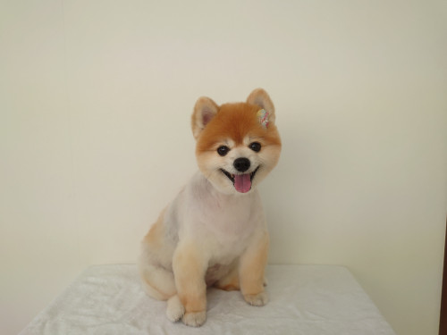 DSC_1237.JPG