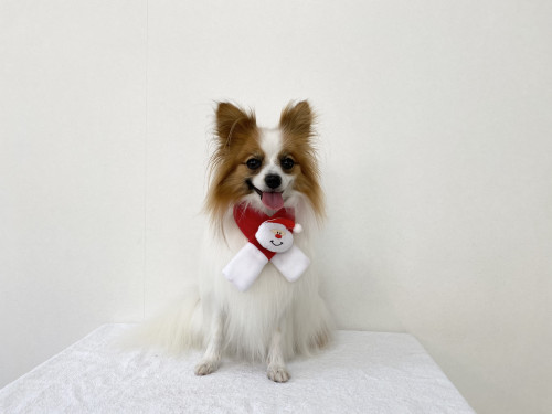 8A73B517-3D29-453D-884C-70B6310A19E7.jpeg