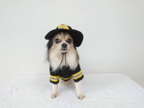 D76E00C9-013E-43C3-A427-1C5C3D38A622.jpeg