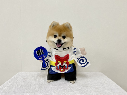 ミミちゃん♪