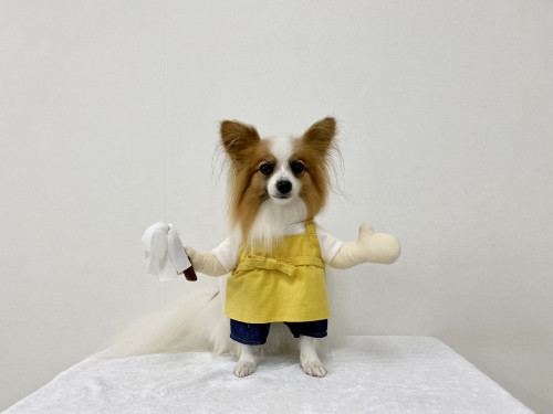 7304F6CE-6A3C-4496-9A57-91022B9AE772.jpeg