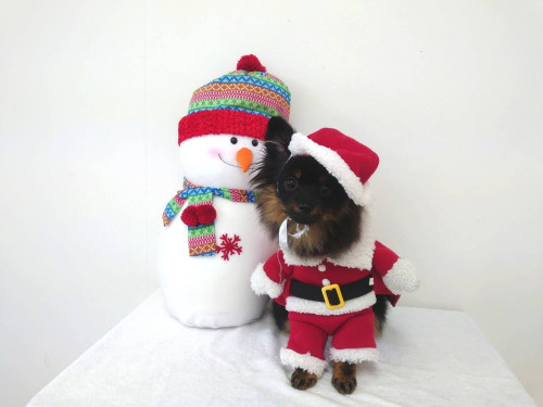 4BAA5597-F526-4521-AAA3-AD5C403264CC.jpeg