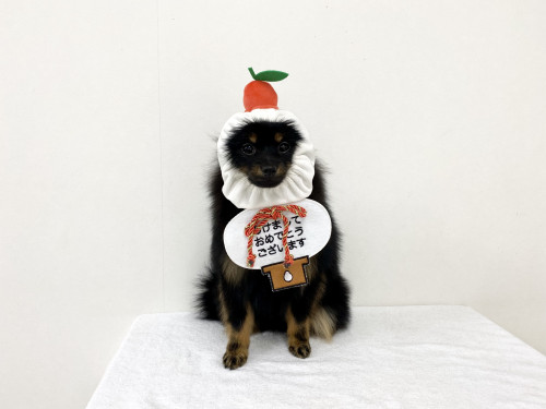 922A0FDD-B1A0-41F8-8473-45F9B847C474.jpeg