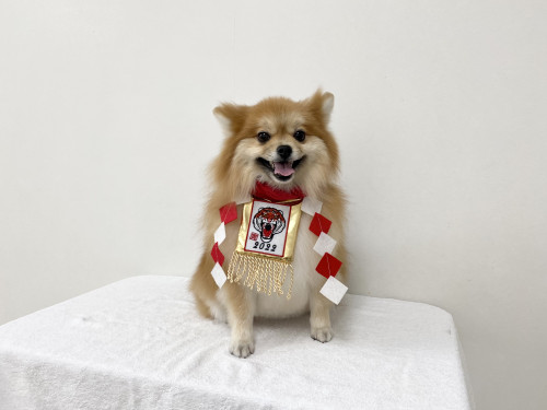 0FAD449D-19F4-4405-988F-44D11A76D01A.jpeg