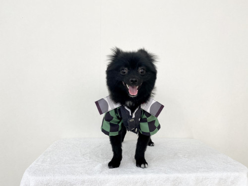 F0751CF5-C0B4-4822-8577-A95060C7064E.jpeg