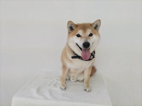A8B6FD0D-718A-4E2D-A776-029007938720.jpeg