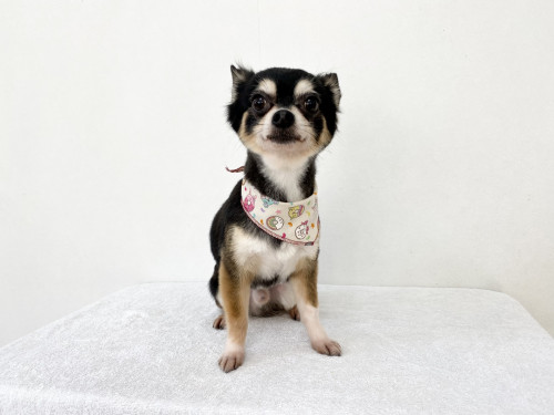 DFAFCFBF-7C8A-4DAF-93AC-AB621B65D6CD.jpeg
