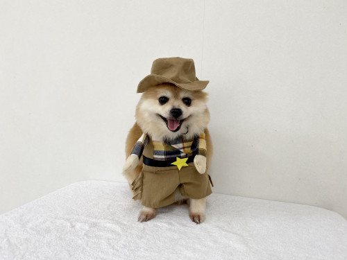 A9658008-2954-4267-8D3F-4AC2A0AEBF1D.jpeg