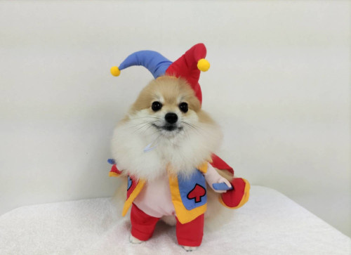 4954F871-B8B7-406F-9F64-E7A7BF4222BC.jpeg