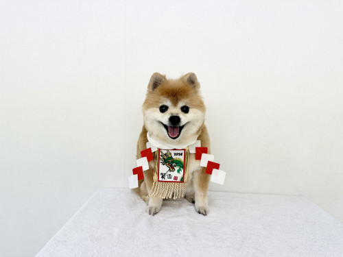 IMG_3887.jpeg