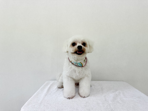 IMG_7066.jpeg