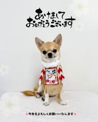 昨年は大変お世話になりました 今年もよろしくお願いします！.png