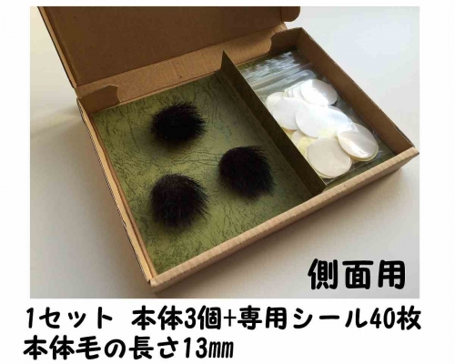 s-応用編ａｍａｚｏｎ用6.jpg