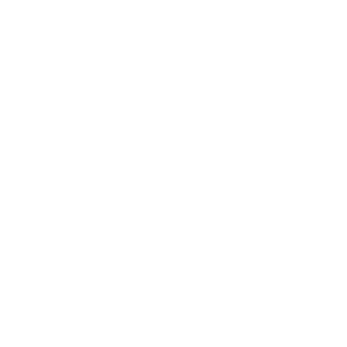 Instagram_Glyph_White.png