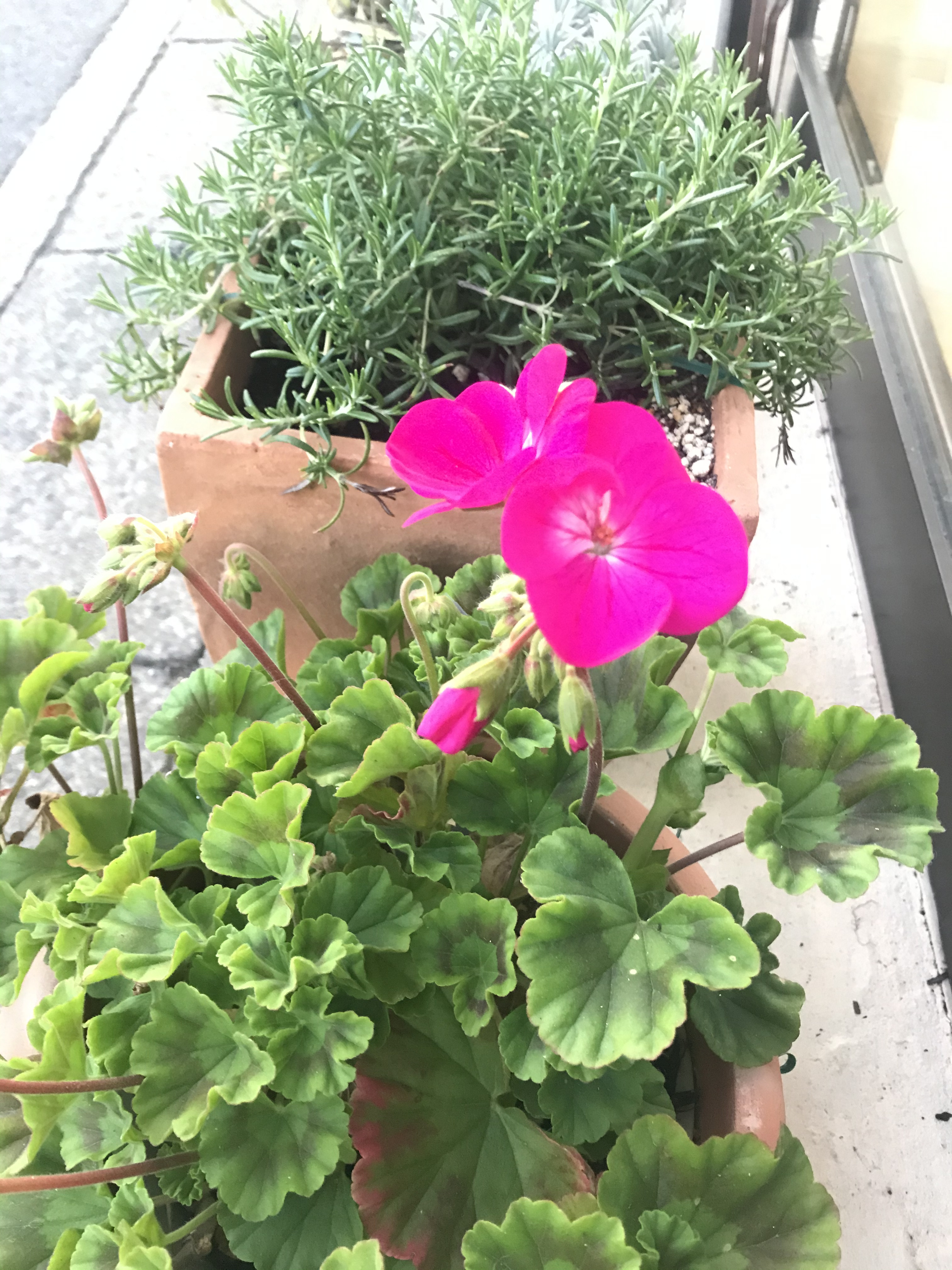 8月までのご予約お受け致しております！