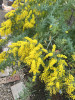 IMG_4251.jpeg