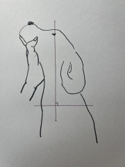 IMG_4569.jpeg