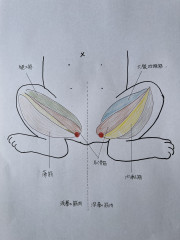 IMG_4956.jpeg