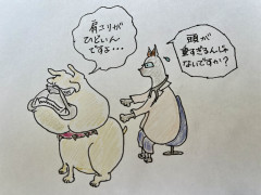 IMG_4960.jpeg