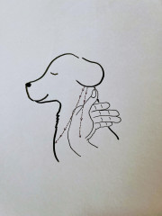 IMG_5091.jpeg