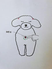 IMG_5090.jpeg