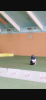 photo-output.png
