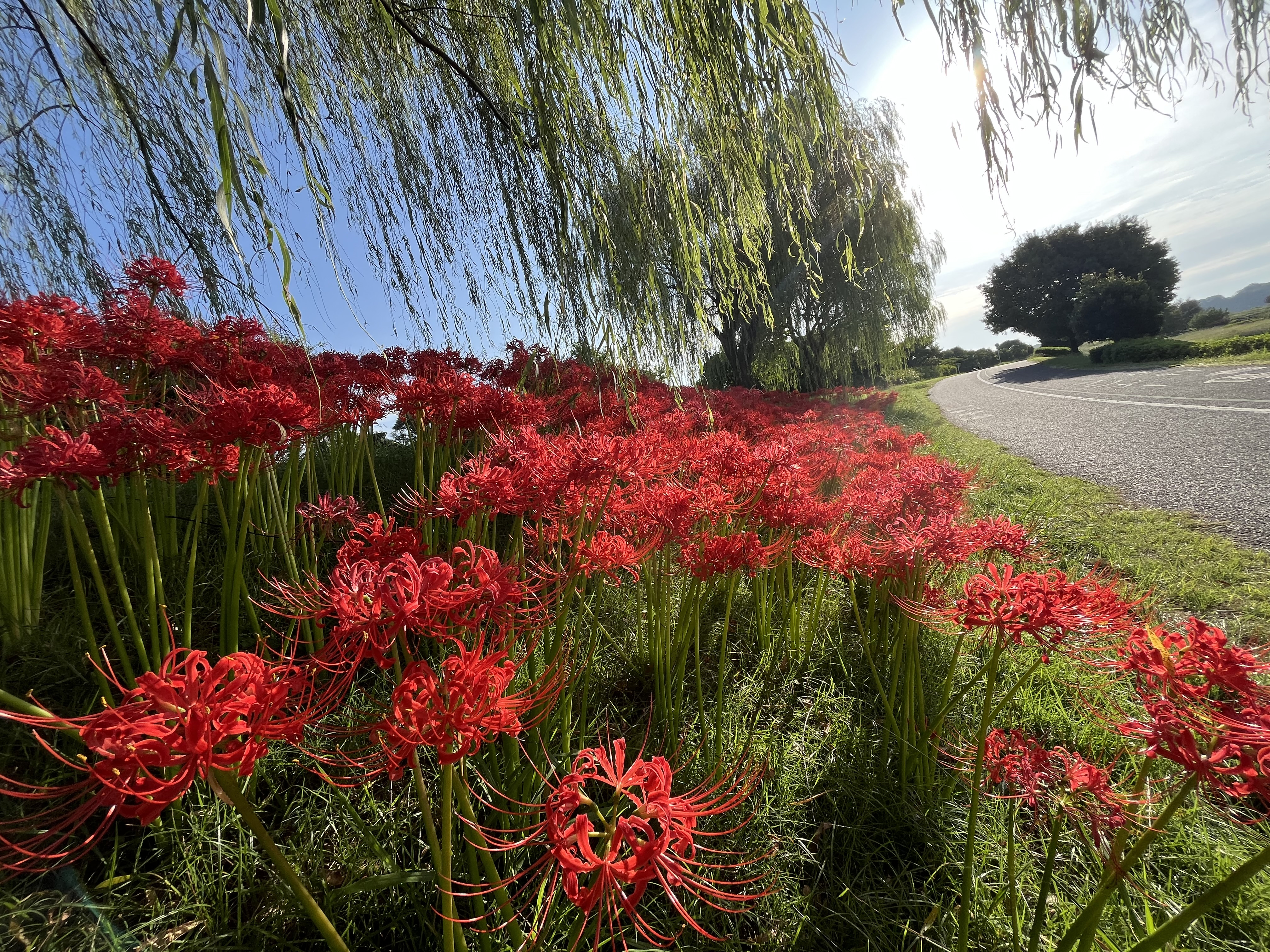2026年1月までのご予約をお受け致しております！