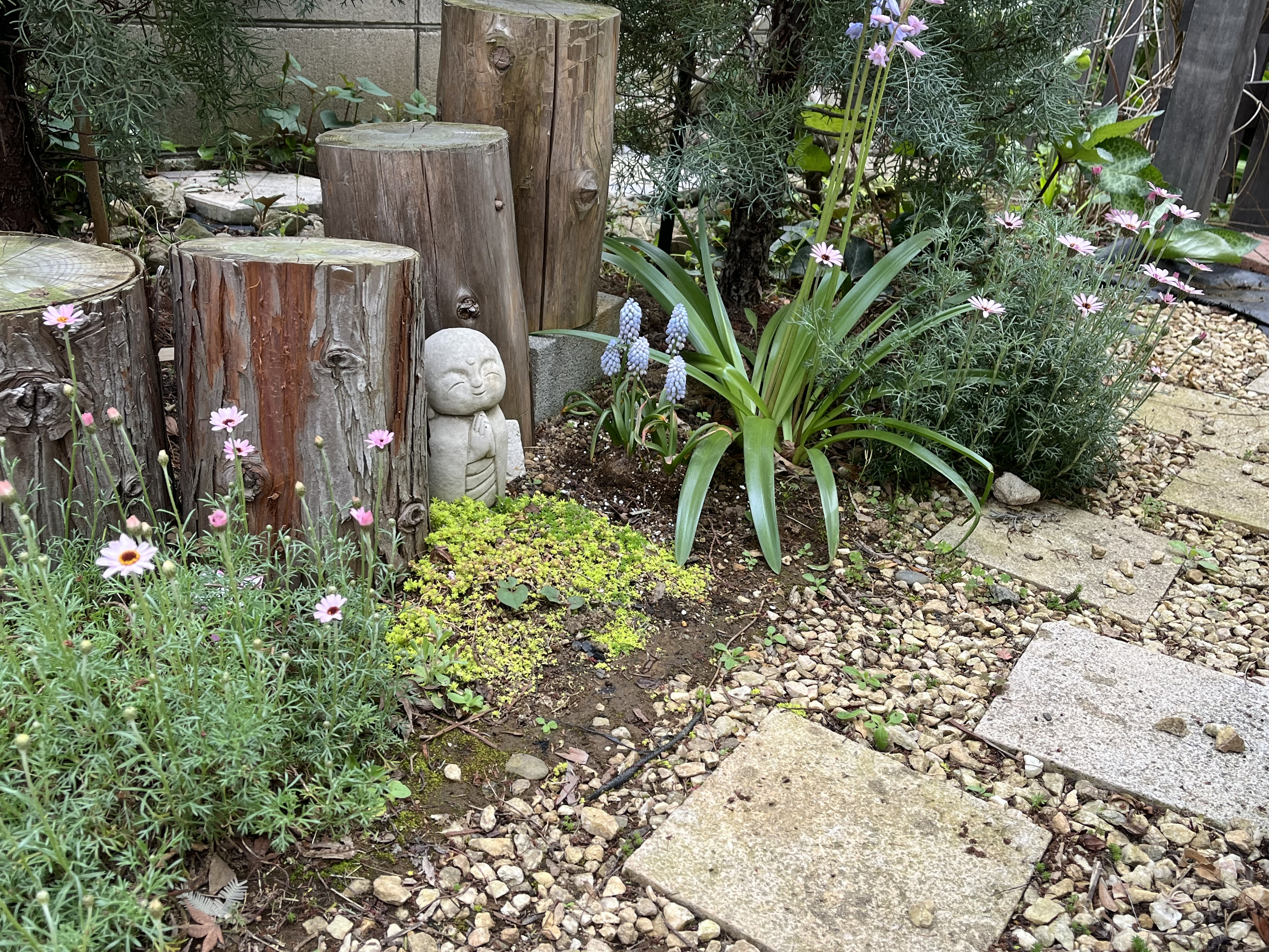 7月までのご予約をお受け致しております！