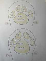 IMG_7186.jpeg