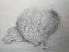 IMG_4869.jpeg